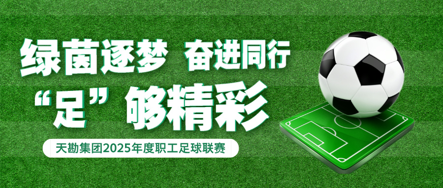 绿茵逐梦  奋进偕行  “足”够精彩  —ag平台官网集团2025年度职工足球联赛圆满落幕