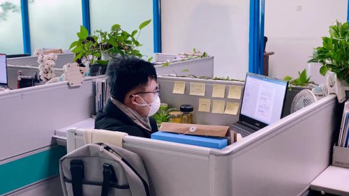 疫情期间，Z6尊龙凯时软件成功研发7套防疫助力软件